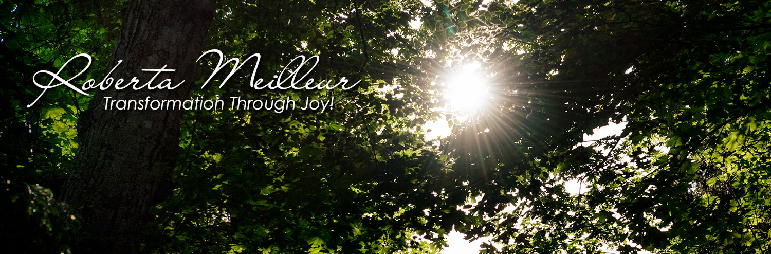 banner with sun streaming through trees